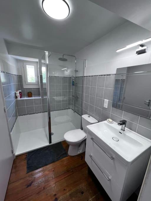 Charmante Maison Renovee Nerac Bagian luar foto